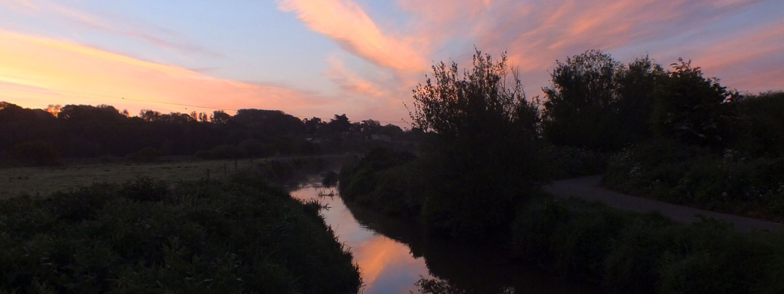 A river running through the East Wight woodland