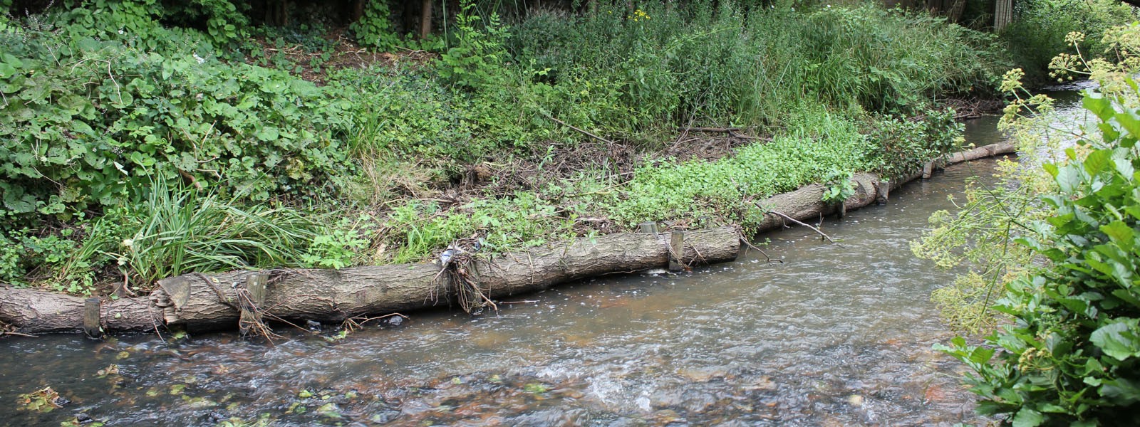 Restored riverbank on the Isle of Wight