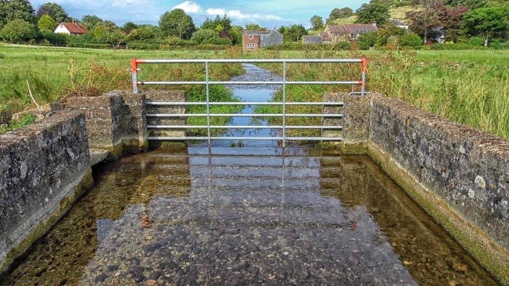 Lukely Brook - Credit Carol Walker IW Photographic Society
